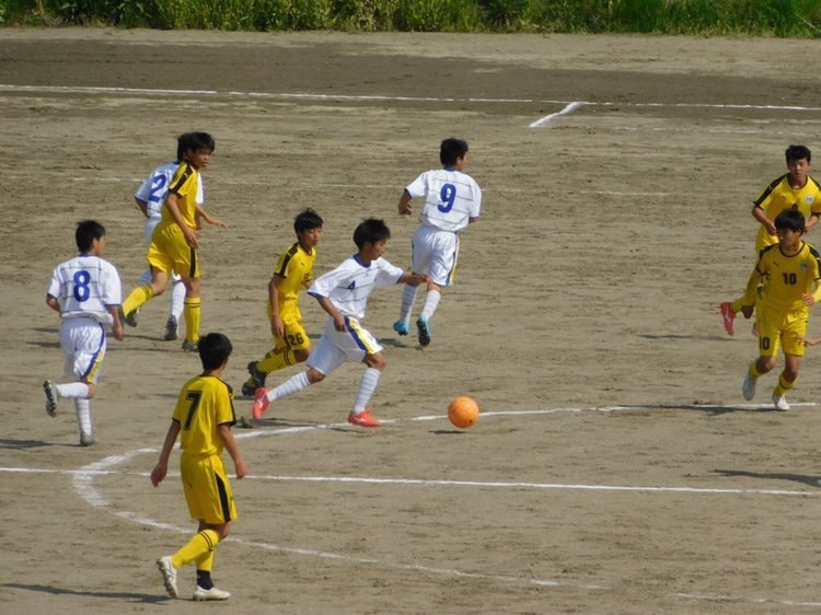 d882bdfc-b256-4466-a5c8-ed9b6ed7d02d.jpg